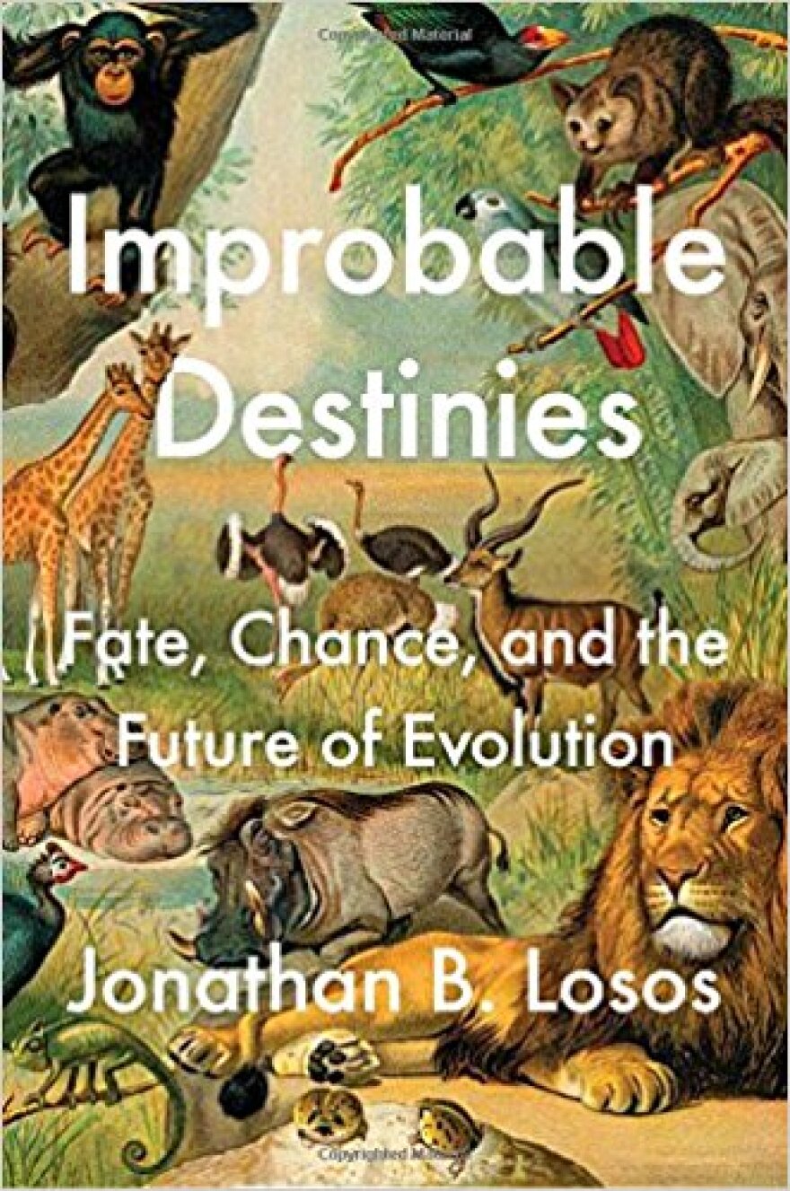 Jonathan Losos' "Improbable Destinies."