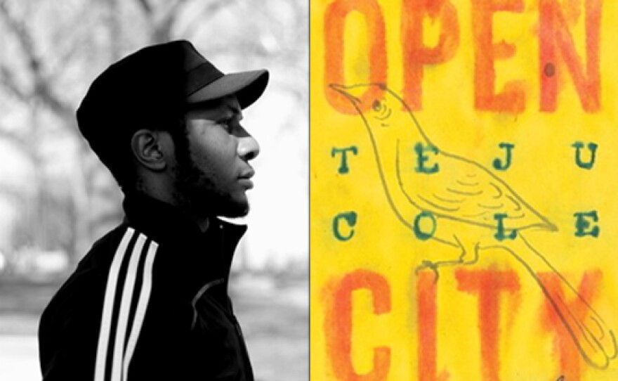 Teju Cole's "Open City," one of Book Doctor Steve Paul's picks