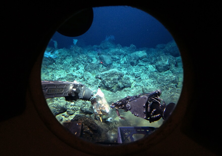 Robotic arms on the Pisces V submersible open a bag of bait on the Cook seamount during a manned dive to the previously unexplored underwater volcano off the coast of Hawaiʻi Island on Sept. 6, 2016.