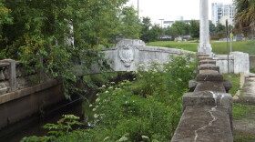 bridge in the park overgrown with plants