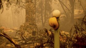 Noah Berger/AP