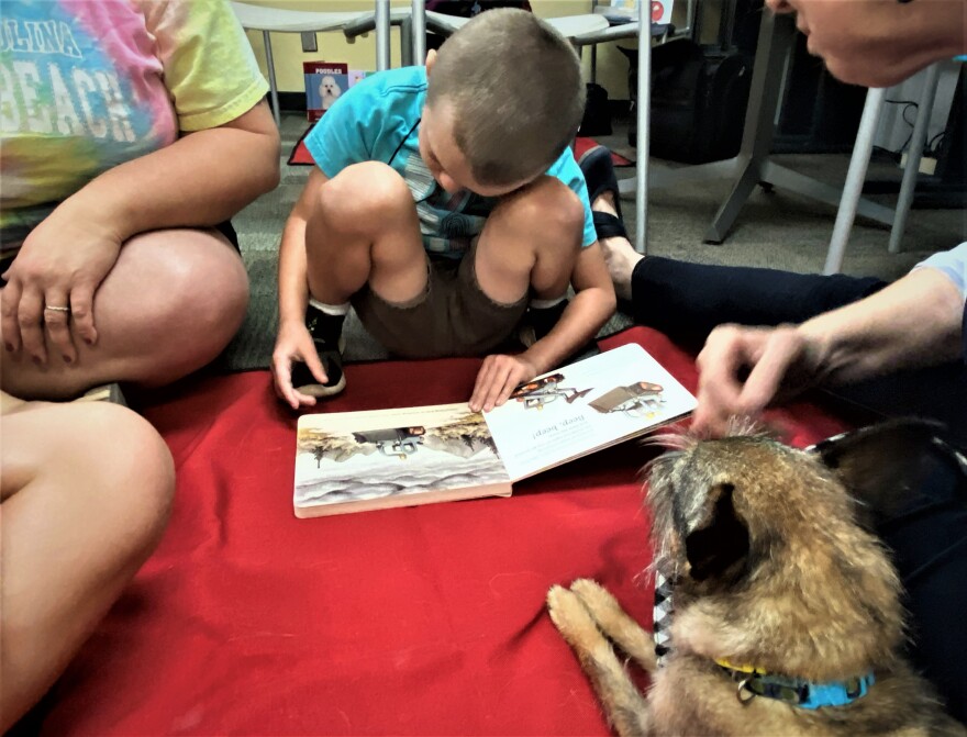 Young boy in blue shirt and shorts crouches reading with small dog looking on