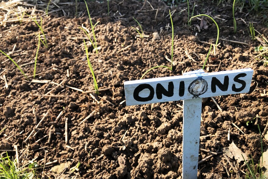 Growing food can be deeply satisfying on an emotional level. That may be reason enough to give it a try.