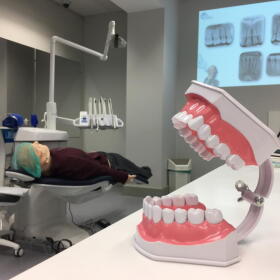 A picture taken on September 25, 2018 shows a denture and a hyper realistic mannequin during a training session for students of the faculty of dental surgery in Strasbourg. (Marc Antoine Baudoux/AFP via Getty Images)