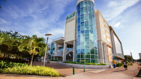 University of South Florida St. Petersburg