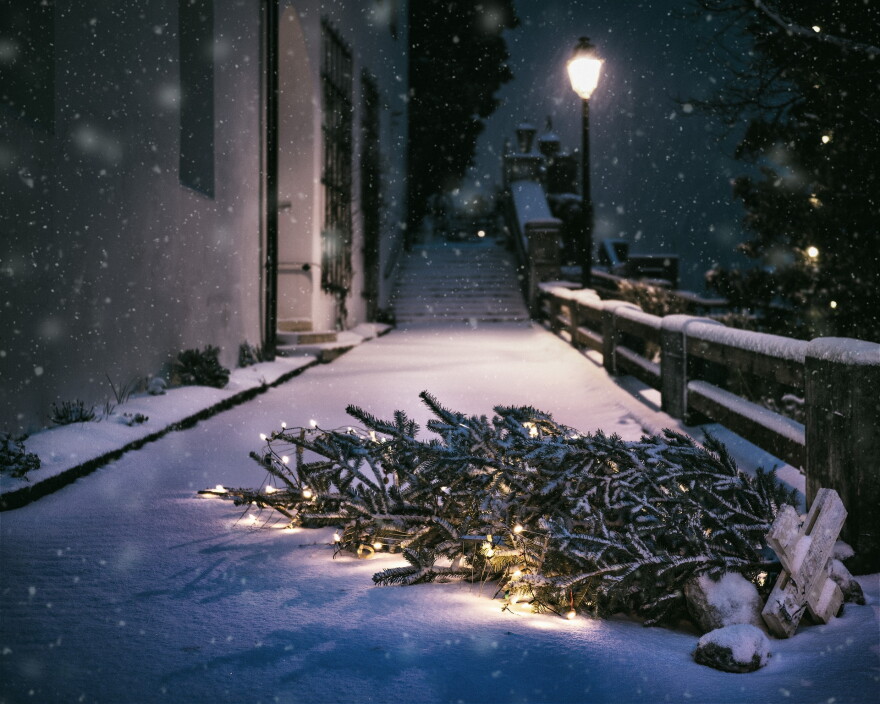 Not quite right: The city wants you to remove all lights, ornaments and stands before placing your tree curbside.
