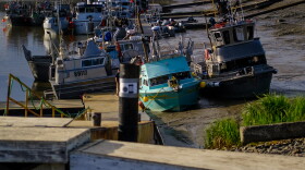 Drift fishing vessels in the Dillingham Boat Harbor at low tide, June 29. 2023. (Brian Venua/KMXT)