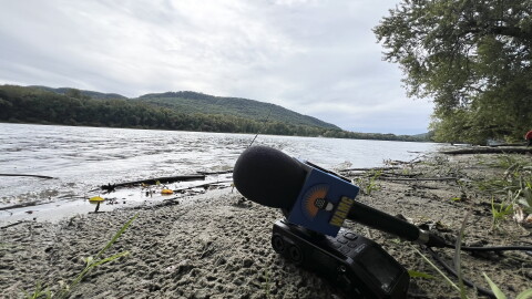 One of the banks of the Connecticut River in Northampton, Mass., as seen on Saturday, Sept. 26, 2026, during a cleanup effort led by local volunteers - part of the broader, annual "Source to Sea" cleanup campaign run by the Connecticut River Conservancy.