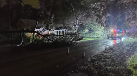 Downed tree and power line Sunday night at Timberwood Drive and Whippoorwill Drive in Citrus Park, Hillsborough County