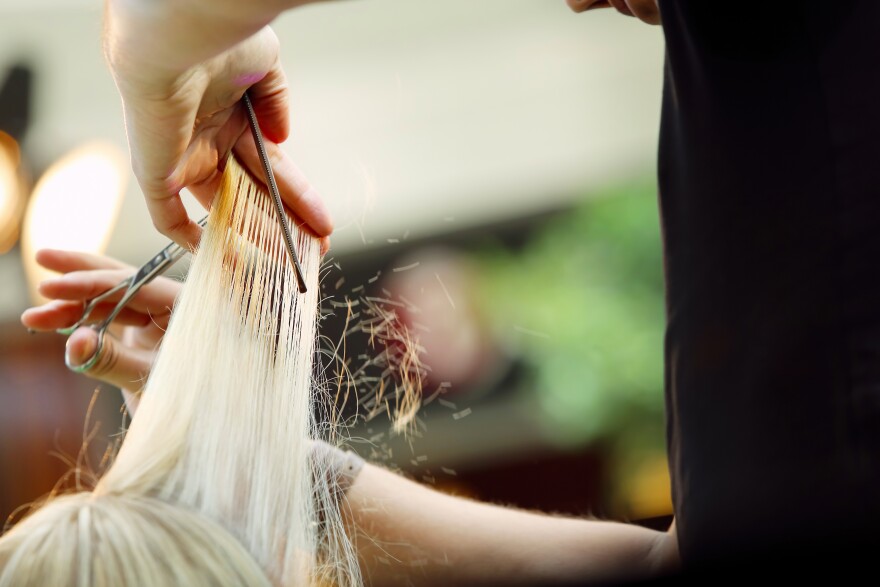 A bill to establish an apprenticeship program for cosmetologists got mixed reviews Wednesday but the legislation easily passed committee.