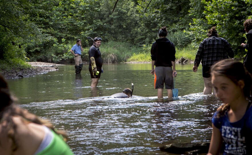 Members of Ohio environmental groups, zoo staff and people from the community all showed up to help introduce hellbenders to a new home.