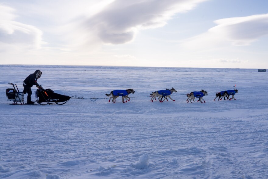 Pete Kaiser races towards the finish line of the 2026 Iditarod on March 18, 2026.