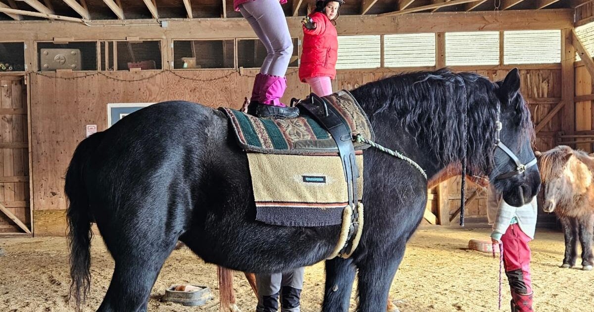 February Break Program at Blue Rider Stables | WAMC
