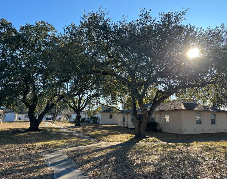 Existing trees at Hillcrest Development.