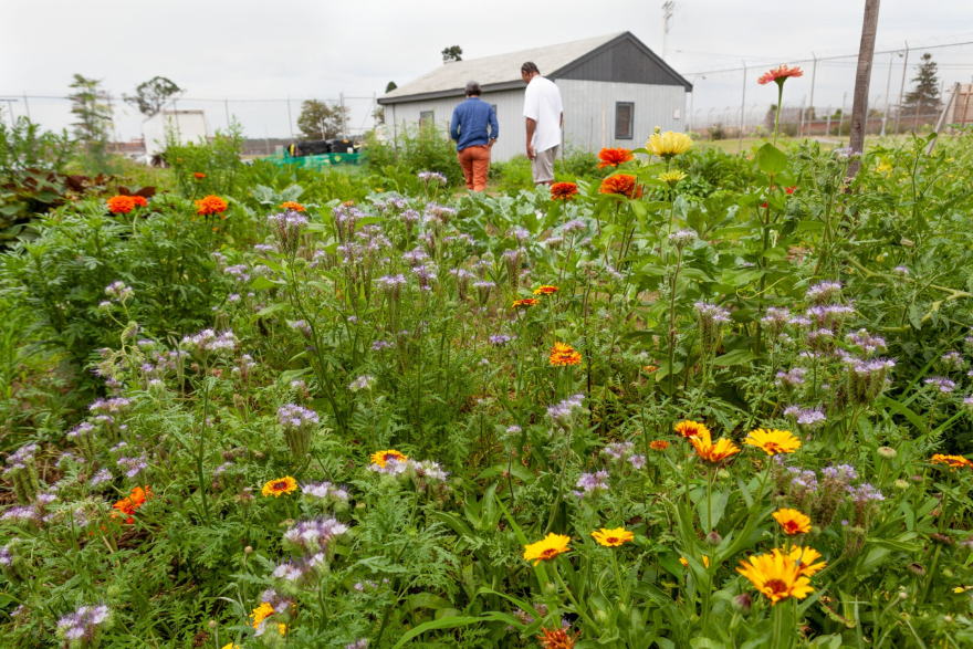 Photos courtesy of The New Garden Society; all rights reserved. Individual photographer credits in image captions.