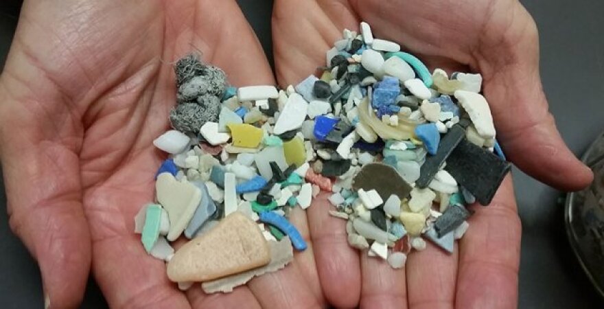 Pieces of microplastic.