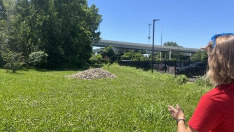Garden manager at the Foodbank, Clara Parrish points to grassy area outside where trees will be planted