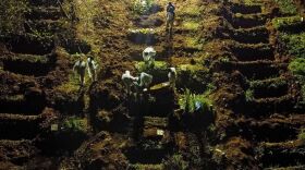 Miguel Schincariol/AFP via Getty Images