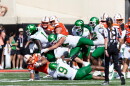Football players tumble at the end of a play.