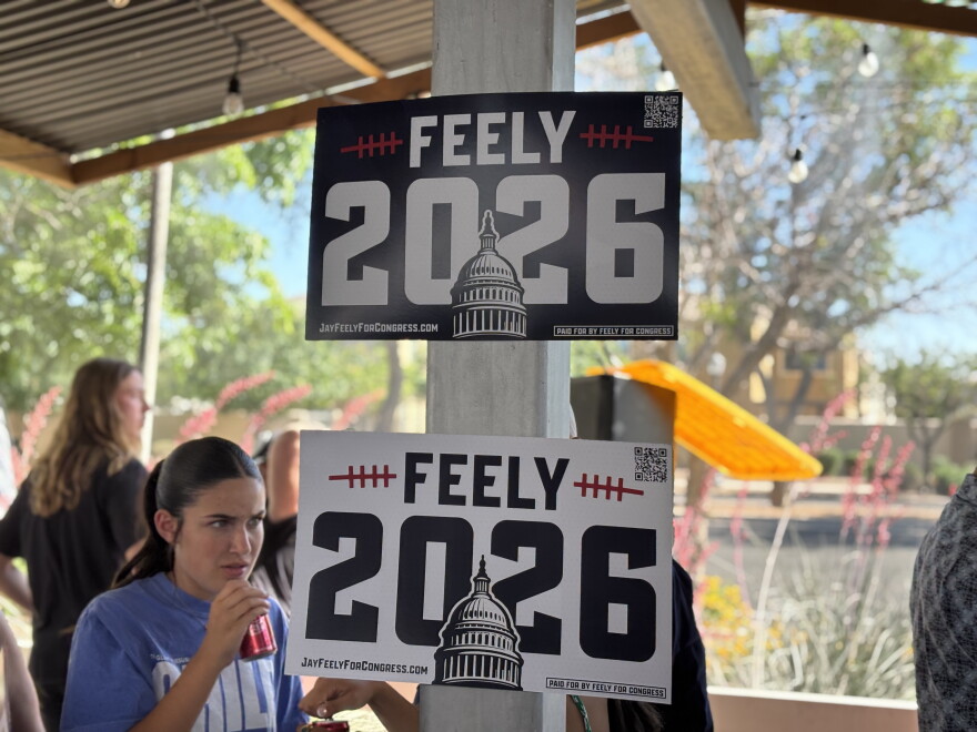 April Feely Former Cardinals kicker Jay Feely enters East Valley CD5 race
