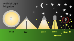 Copy of Artificiallightmitigation2021.png