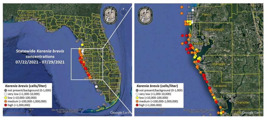 2021 red tide florida map