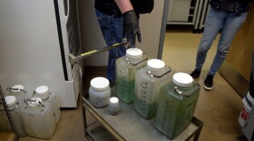 These wastewater samples are ready to be shipped to the EPA in Cincinnati for testing.