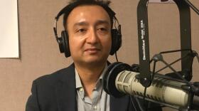 USF Muma College of Business marketing professor Dipayan Biswas talks in the WUSF studios.