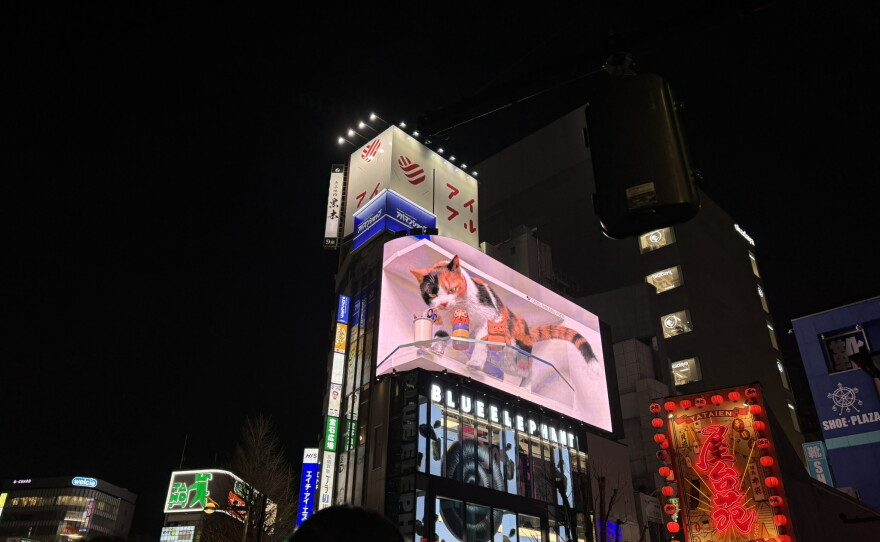 Buildings in Shinjuku - Shinjuku Cat, a 3-D billboard that is very lifelike.