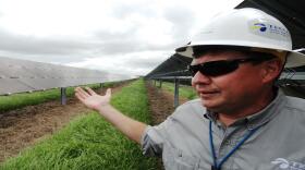 Paul Warren, senior manager of solar operations for Tampa Electric, at its Lake Hancock solar site.