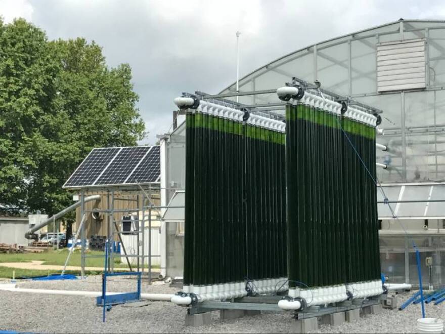 The system will be modeled after this photobioreactor, located at Duke Energy's East Bend Coal Power Plant, designed by the University of Kentucky.