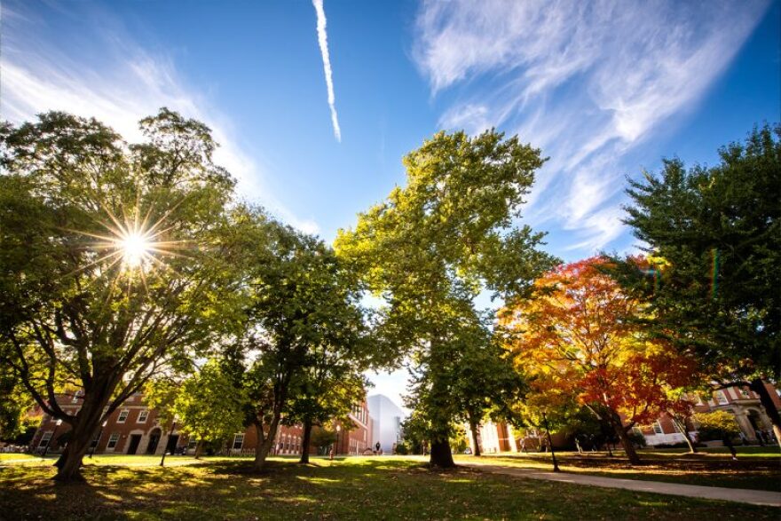 A sunny day, flooded with trees in front of the fell arboretum building on ISU Campus