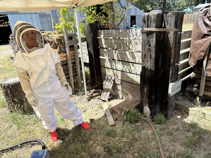 Woman in beekeeper's suit standing next to yellow jacket nest.
