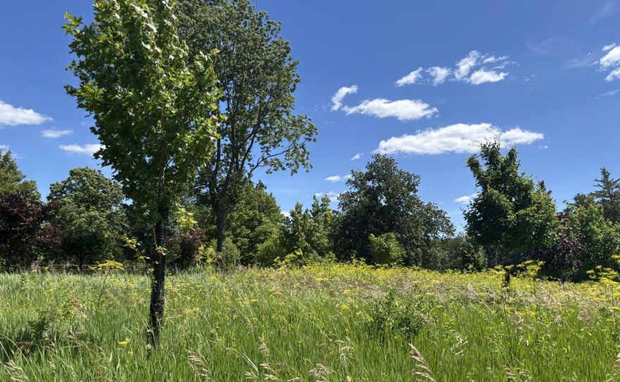 Hickory Hills Park extends over 700 acres of hilly terrain outside La Porte City. In addition to Casey Lake, it has prairie and pastureland, a campground and a lodge.
