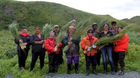 The descendants spent time gathering grass on Attu to be used in traditional baskets. (Zoë Sobel / KUCB)