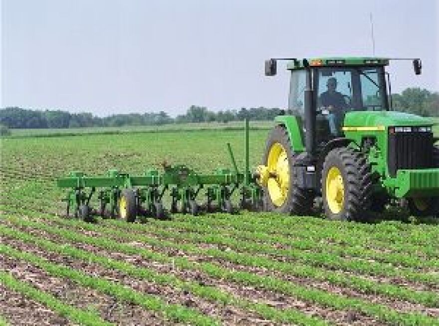 Farmer working with row crops.