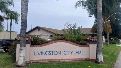 Livingston City Hall is shown.