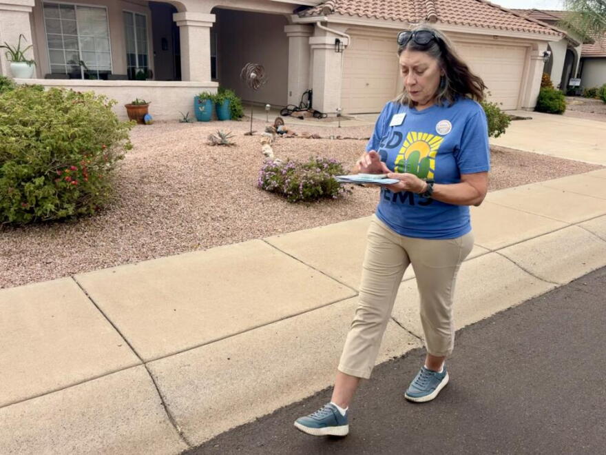 Dana Rakinic canvasses a neighborhood in North Phoenix for Amish Shah and other Democratic candidates. (Peter O'Dowd/Here & Now)