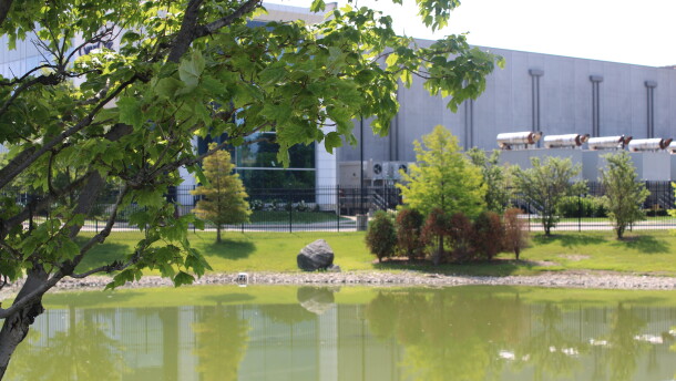 A photo of a pond in front of a data center fenced off behind it, a tree is close to the screen. 