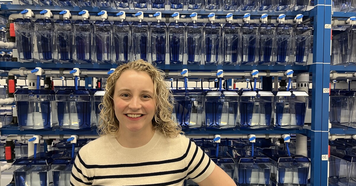 How zebrafish may help scientists better understand infertility at new UC research facility