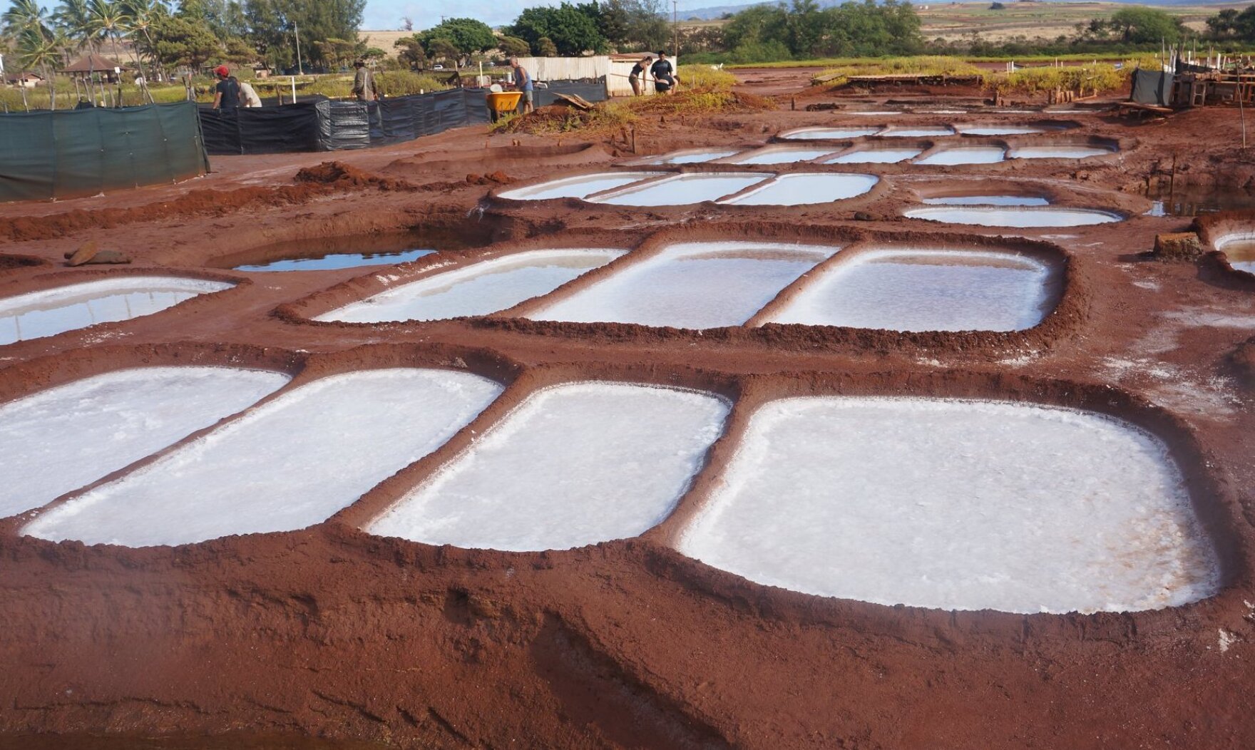 This Kauaʻi family has been harvesting and sharing salt for generations