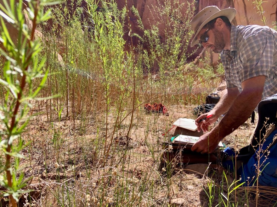 A man with a notepad kneels on the ground, surrounded by small green shoots.