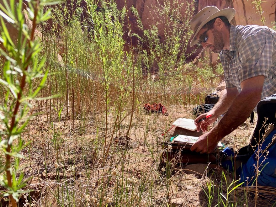 A man with a notepad kneels on the ground, surrounded by small green shoots.
