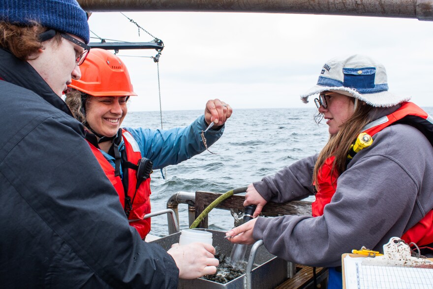 Person a vessel holds up a worm with forceps to show two other people.