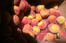 If keeping your peach trees healthy by spraying sulphur several times a year is too time-consuming for you, try planting curl resistant peaches that need no sprays. They produce enough fruit for pies, fresh eating, sharing and drying.