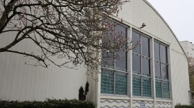 A magnolia tree outside the window of a building topped with a domed roof.