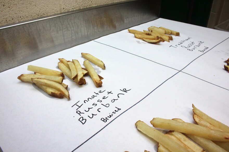 Michigan State's researchers cooked up two batches of fries to compare bruising in traditional, non-GMO potatoes (left) and GMO potatoes (right).