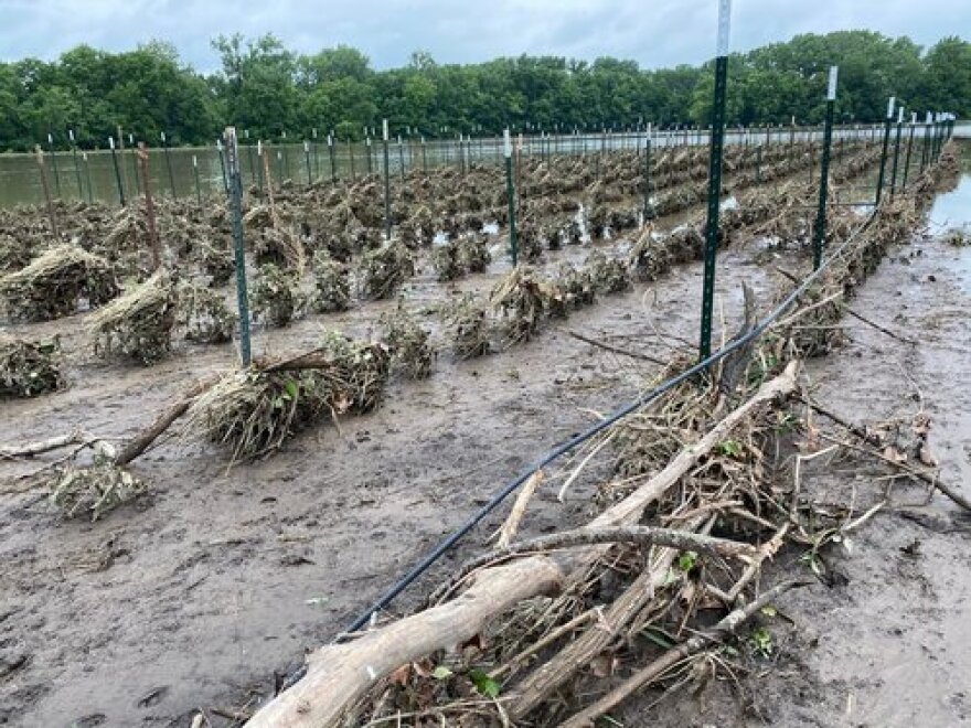 The vegetable field at Cook Farm after floodwaters receded