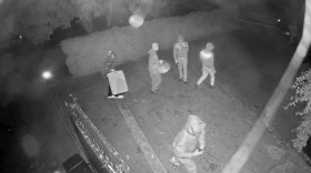 Surveillance camera video of burglars at a Carpinteria area cannabis farm on February 4.