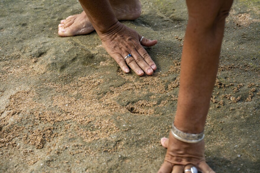 Archaeologist Laura Gilda of the U.S. Army Garrison Hawaiʻi Environmental Division fills a petroglyph carving with sand to make its shape more visible during low tide at Pōkaʻī Bay, July 22, 2025, in Waiʻanae, Hawaiʻi.